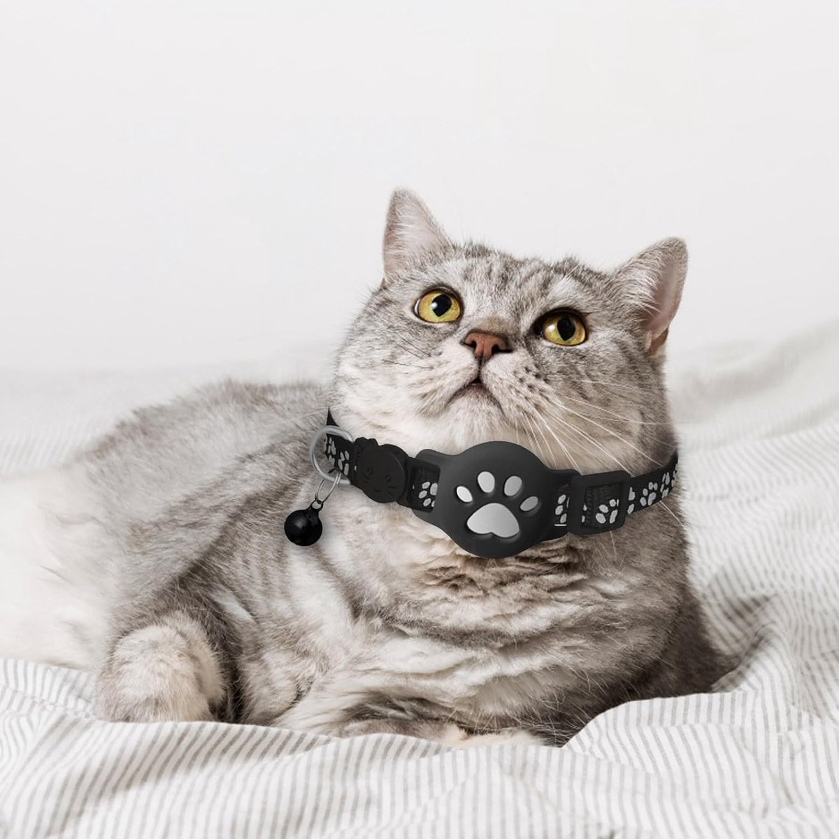 GPS KattenTracker - Huisdiertracker - Real-Time Locatietracking Werkt Met iOS/Android - Waterdicht - Met Reflecterende Halsband En Belletje - Verlies Tracker Voor Huisdieren - Verstelbare Nylon Halsband - Zwart thumbnail 5