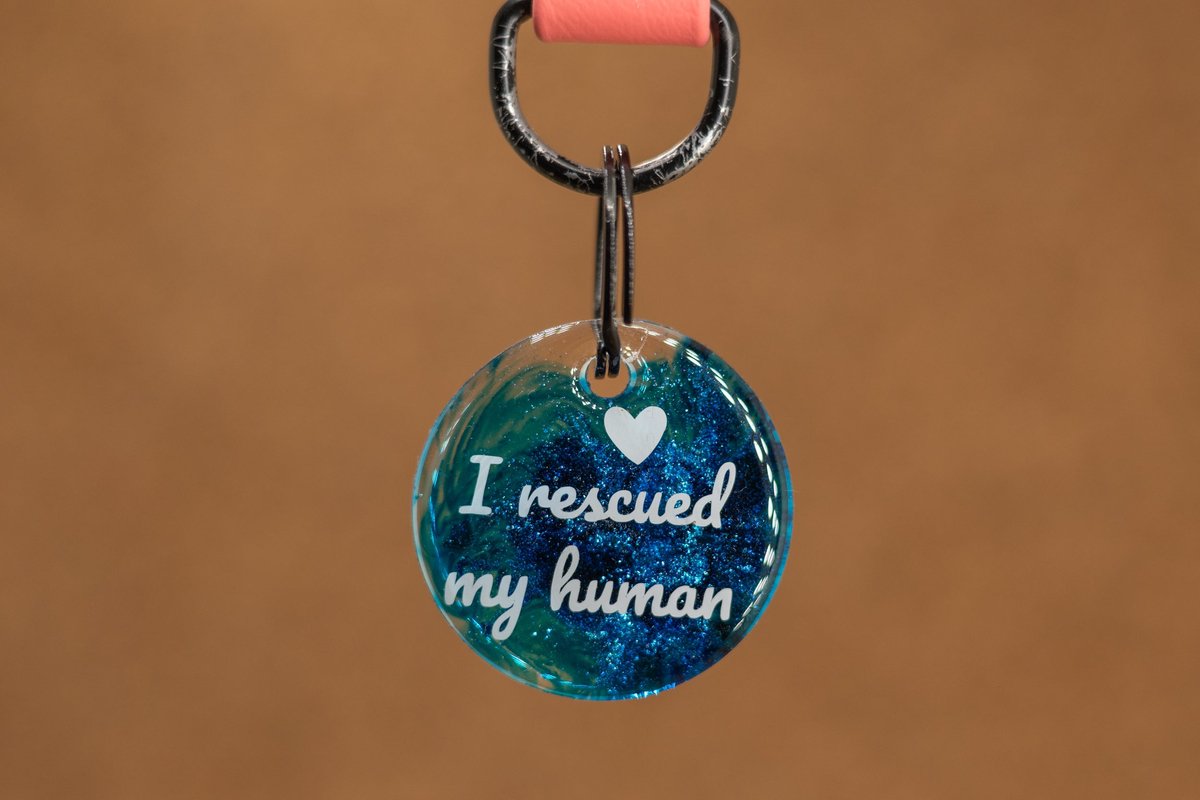 Crackerjack hondenpenning - Fun tag - I rescued my human - slijtvast - moddervast - uniek - leuk als cadeau