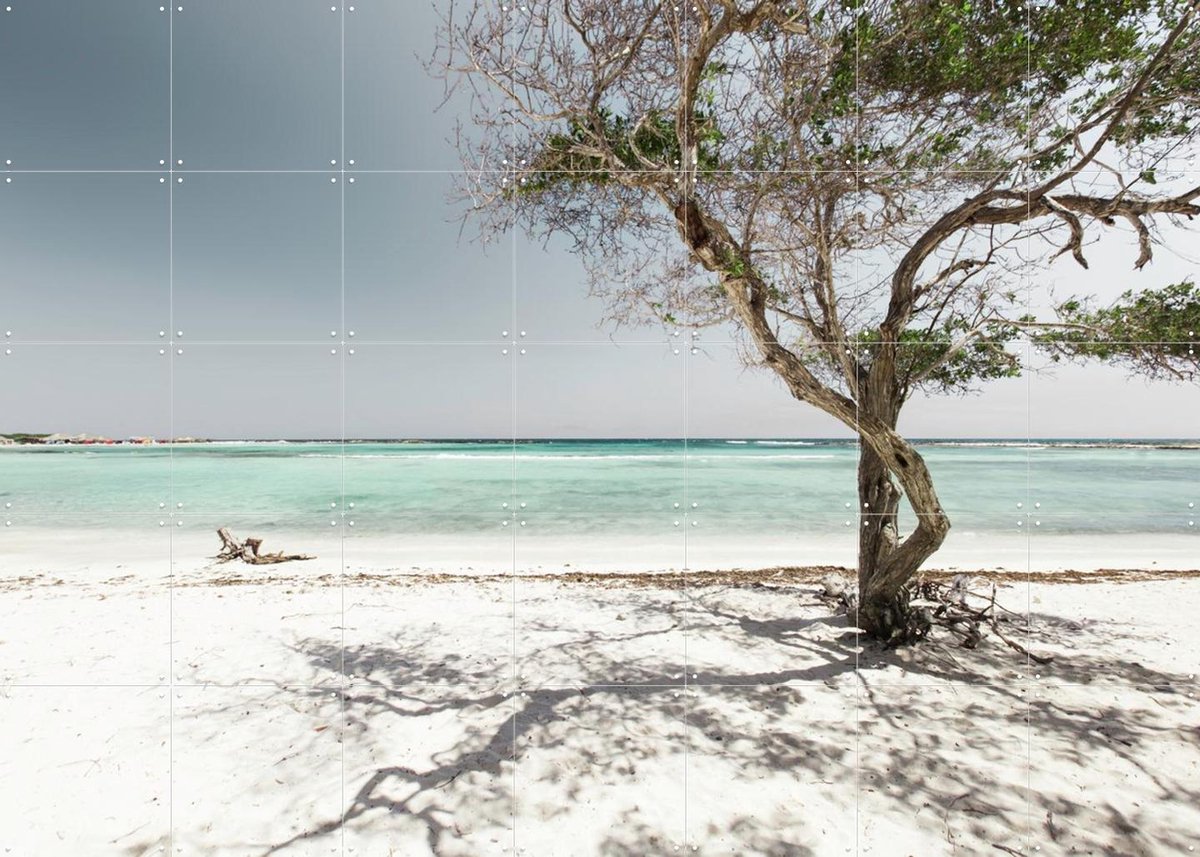 IXXI Aruban Waters, Claire Droppert - 140 x 100 cm - Gratis ophangtool - Grote wanddecoratie en posters - Fotografie, Realisme, Minimalisme