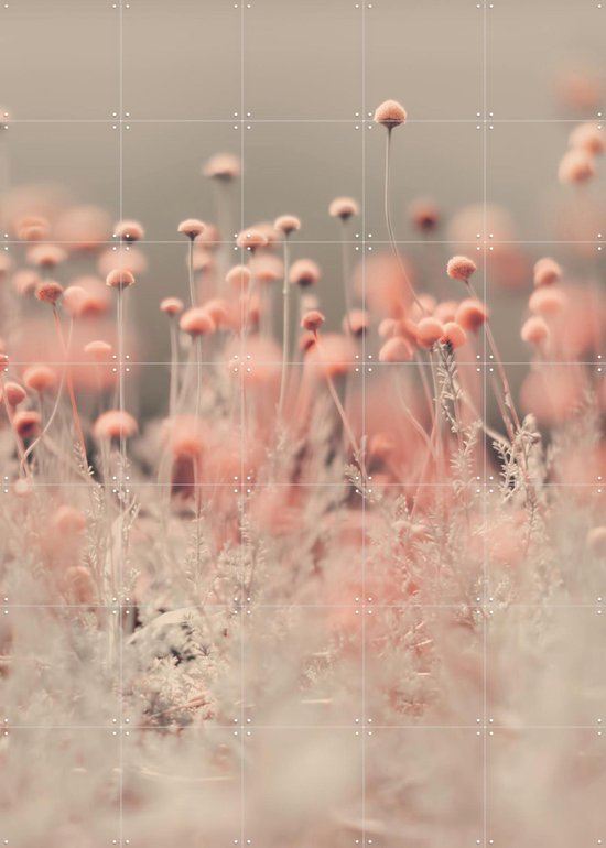 IXXI Fleurs sauvages Pink , Ingrid Beddoes - 100 x 140 cm - Support de suspension gratuit - Grande décoration murale et posters - Photographie, Impressionnisme, Salon