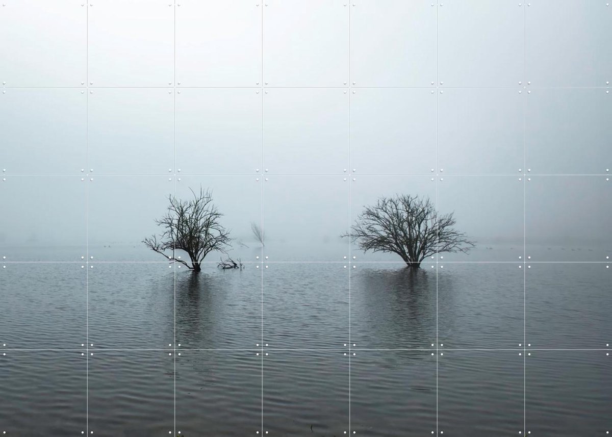 IXXI Whispering Tree Pair, Claire Droppert - 140 x 100 cm - Gratis ophangtool - Grote wanddecoratie en posters - Naturalisme, Realisme, Fotografie