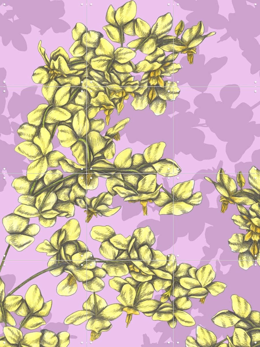 IXXI Candy Flowers, Cecilia Battaini - 60 x 80 cm - Gratis ophangtool - Grote wanddecoratie en posters - Grafisch Ontwerp, Digitale Kunst