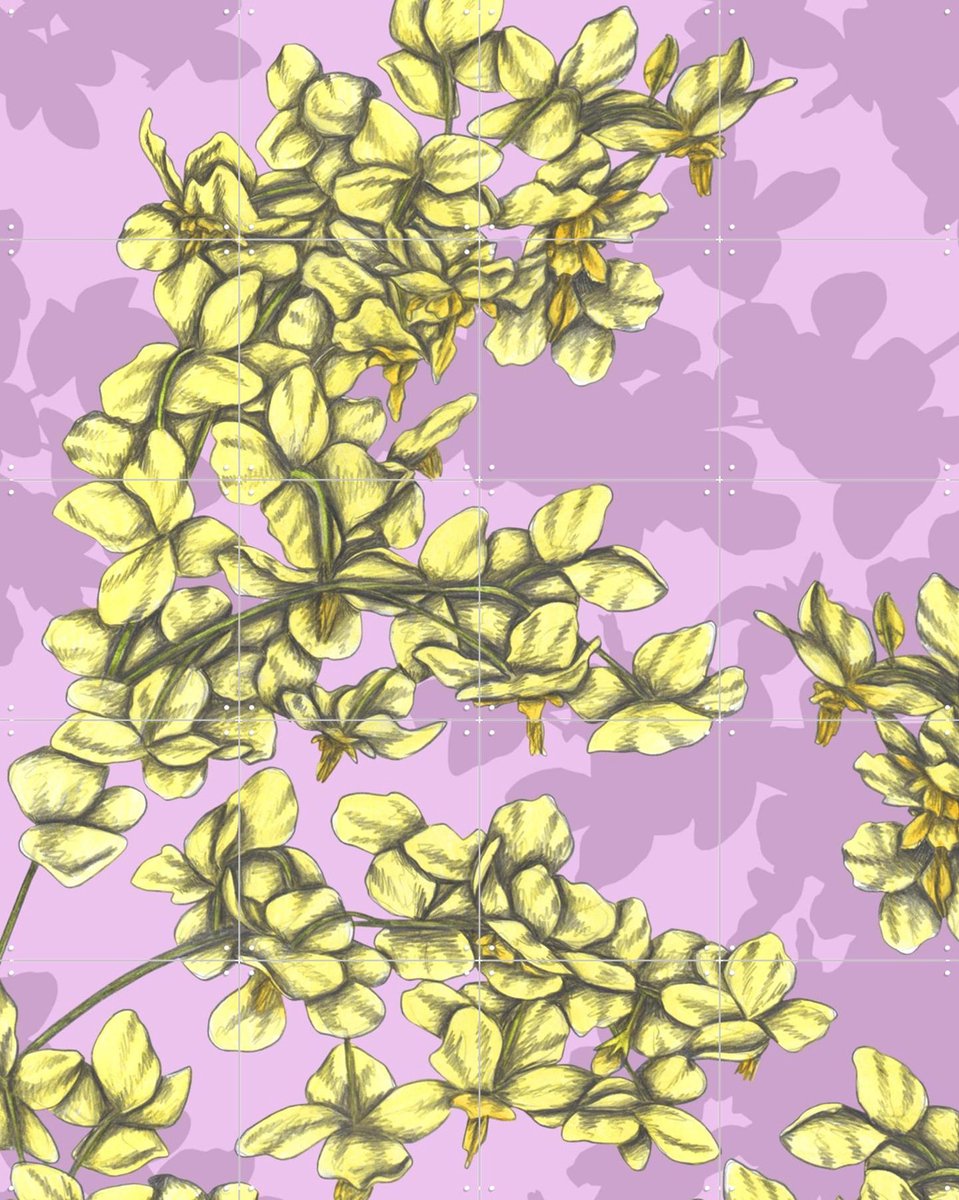 IXXI Candy Flowers, Cecilia Battaini - 80 x 100 cm - Gratis ophangtool - Grote wanddecoratie en posters - Grafisch Ontwerp, Digitale Kunst