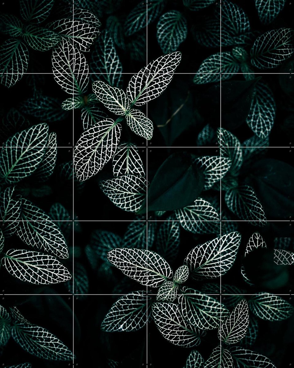 IXXI Dark Leaves, Mareike Böhmer - 80 x 100 cm - Gratis ophangtool - Grote wanddecoratie en posters - Fotografie, Naturalisme, Slaapkamer, Woonkamer