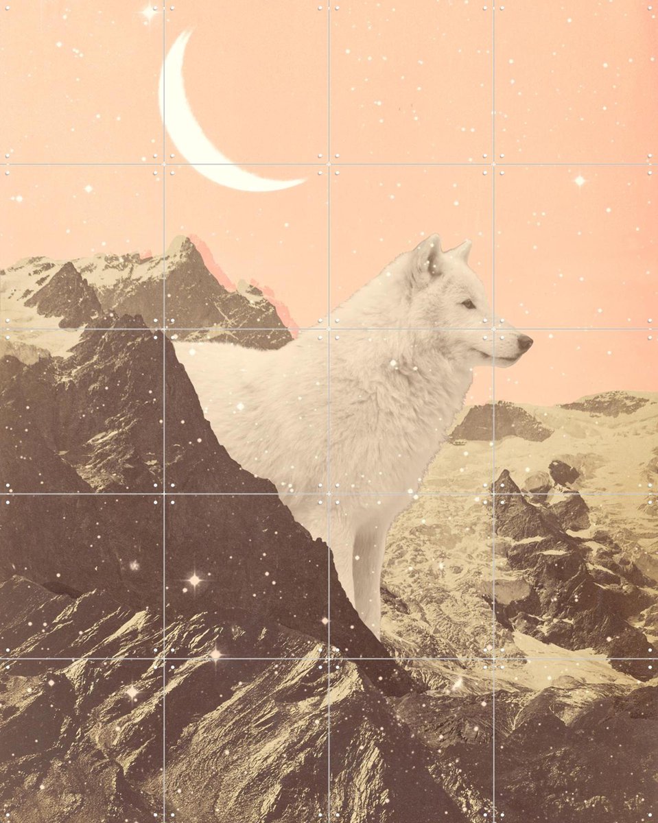 IXXI Giant White Wolf, Florent Bodart - 80 x 100 cm - Gratis ophangtool - Grote wanddecoratie en posters - Digitale Kunst, Surrealisme, Illustraties