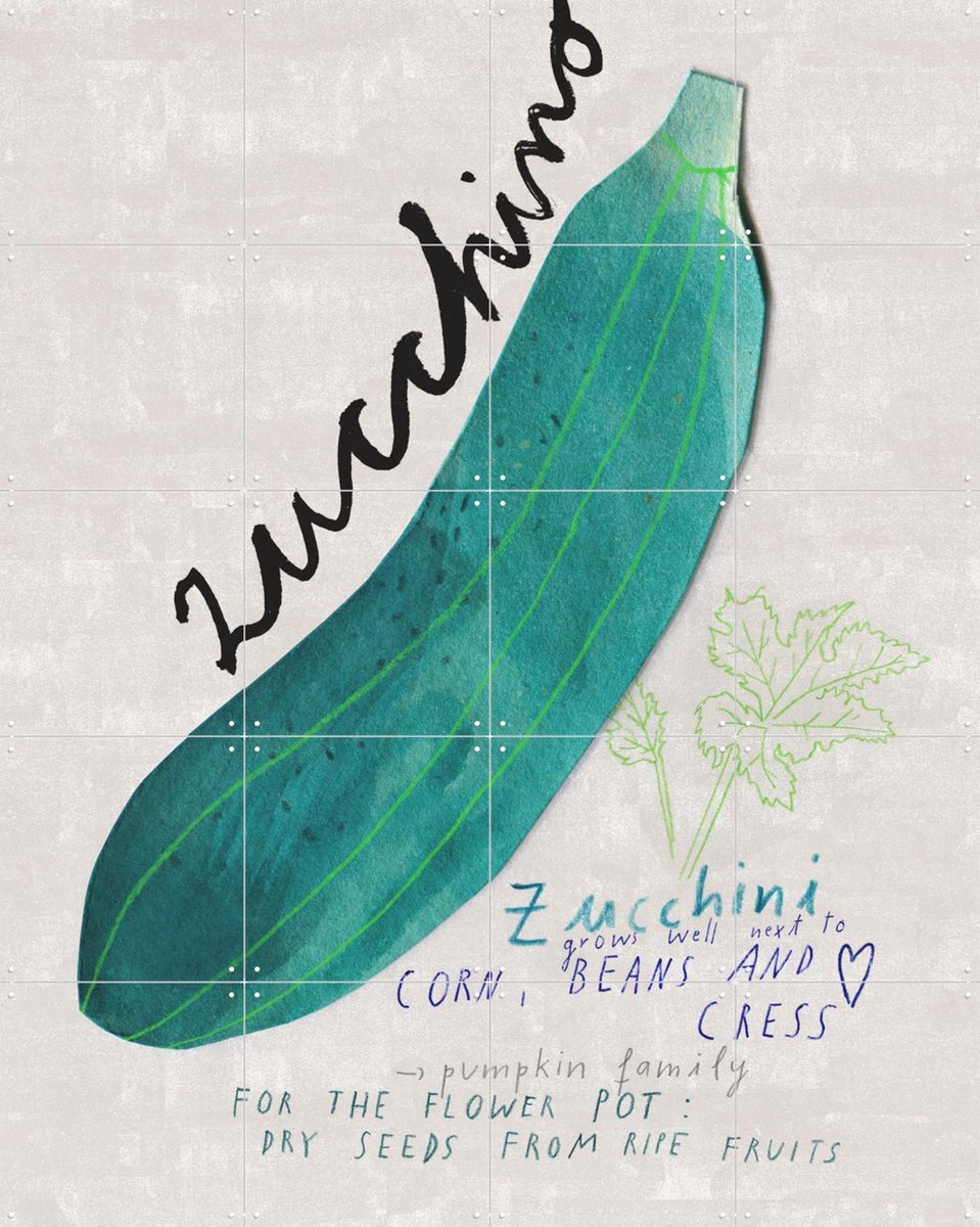 IXXI Zucchini EN, Signorinah - 80 x 100 cm - Gratis ophangtool - Grote wanddecoratie en posters - Grafisch Ontwerp, Speels, Illustraties, Eetkamer