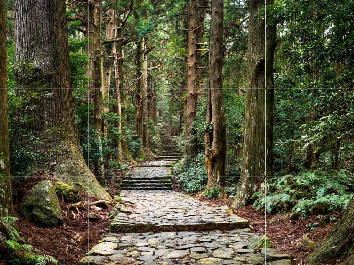 IXXI Kumano Kodo Pilgrimage Route, Jan Becke - 80 x 60 cm - Gratis ophangtool - Grote wanddecoratie en posters - Naturalisme, Fotografie, Woonkamer