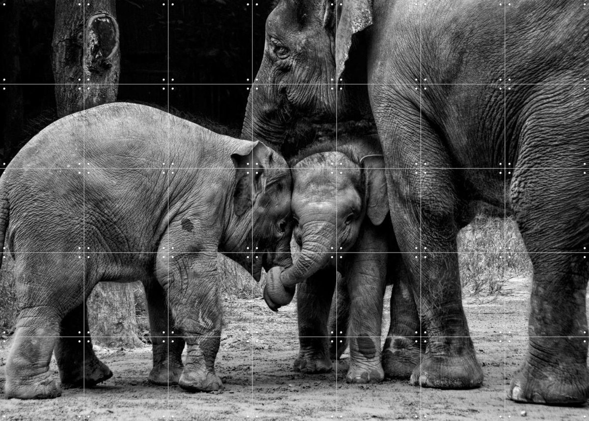 IXXI Friends Forever, Ernest Rex & Various - 140 x 100 cm - Gratis ophangtool - Grote wanddecoratie en posters - Fotografie, Woonkamer, Kinderkamer