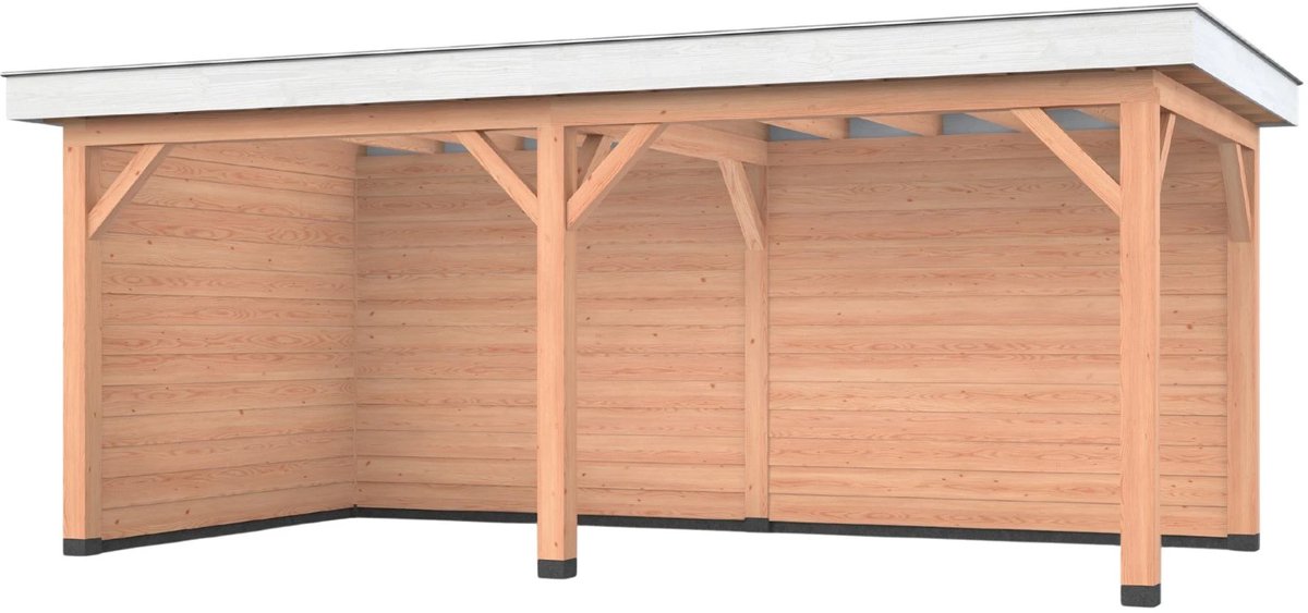 Douglas overkapping, 600 x 300, met achterwand en zijwand, Westwood Holland Basic