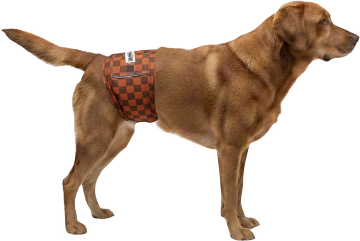 Hondenluier plasband maat XL blokjes bruin - Verstelbaar 64-86 cm - Bij incontinentie en urineverlies hond - machine wasbaar