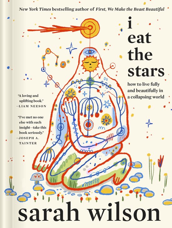 I Eat the Stars - cover