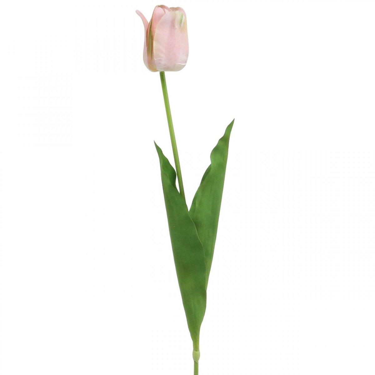 Tulp roze bloemstengel H67cm