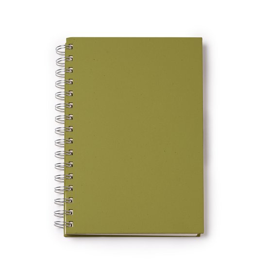 Carnet vert à reliure spirale argentée.