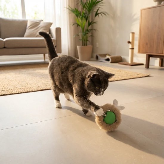 Grijze kat speelt met een bruin pluizig speeltje met groene bal.
