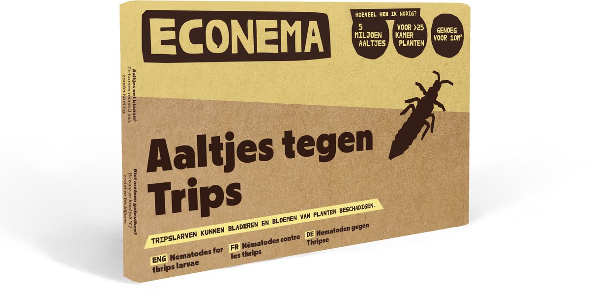 Aaltjes tegen Trips larven – 50 m² – Trips in kamerplanten – kleine beestjes en bladschade