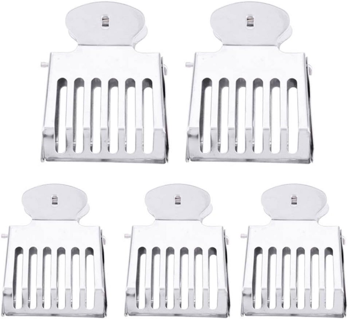 Set van 5 Roestvrijstalen Koninginnenkooi Clips voor Bijenhouden