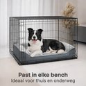 Bordercollie in een grijze bench op een zacht grijze hondenmand.