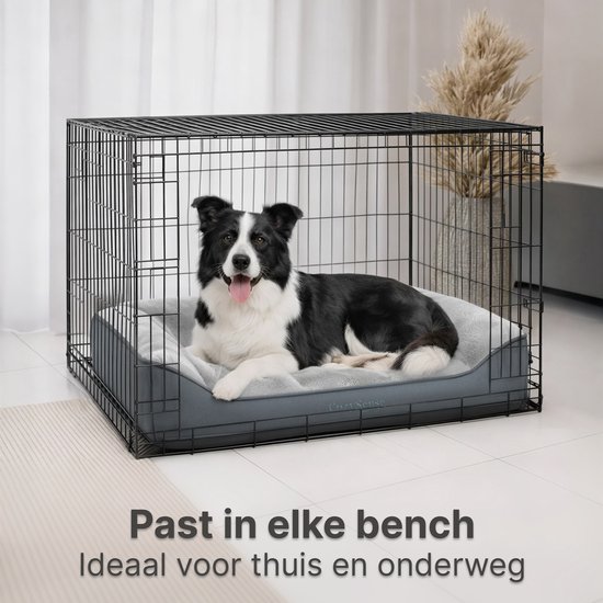 Bordercollie in een grijze bench op een zacht grijze hondenmand.
