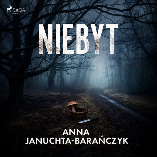 Niebyt - cover