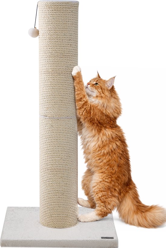 Een grote oranje Maine Coon kat krabt aan een hoge, naturel sisal krabpaal op een witte achtergrond. De paal staat op een crème voet.