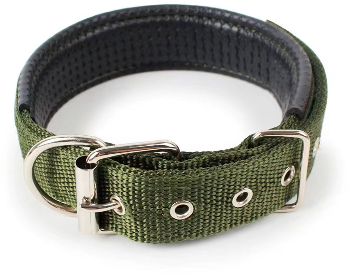 Dierboetiek Verstelbare Nylon Hondenhalsband - Groen - XL