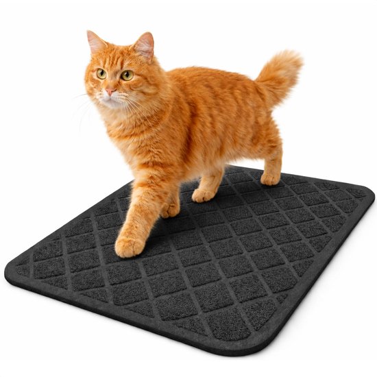 Litière pour chat