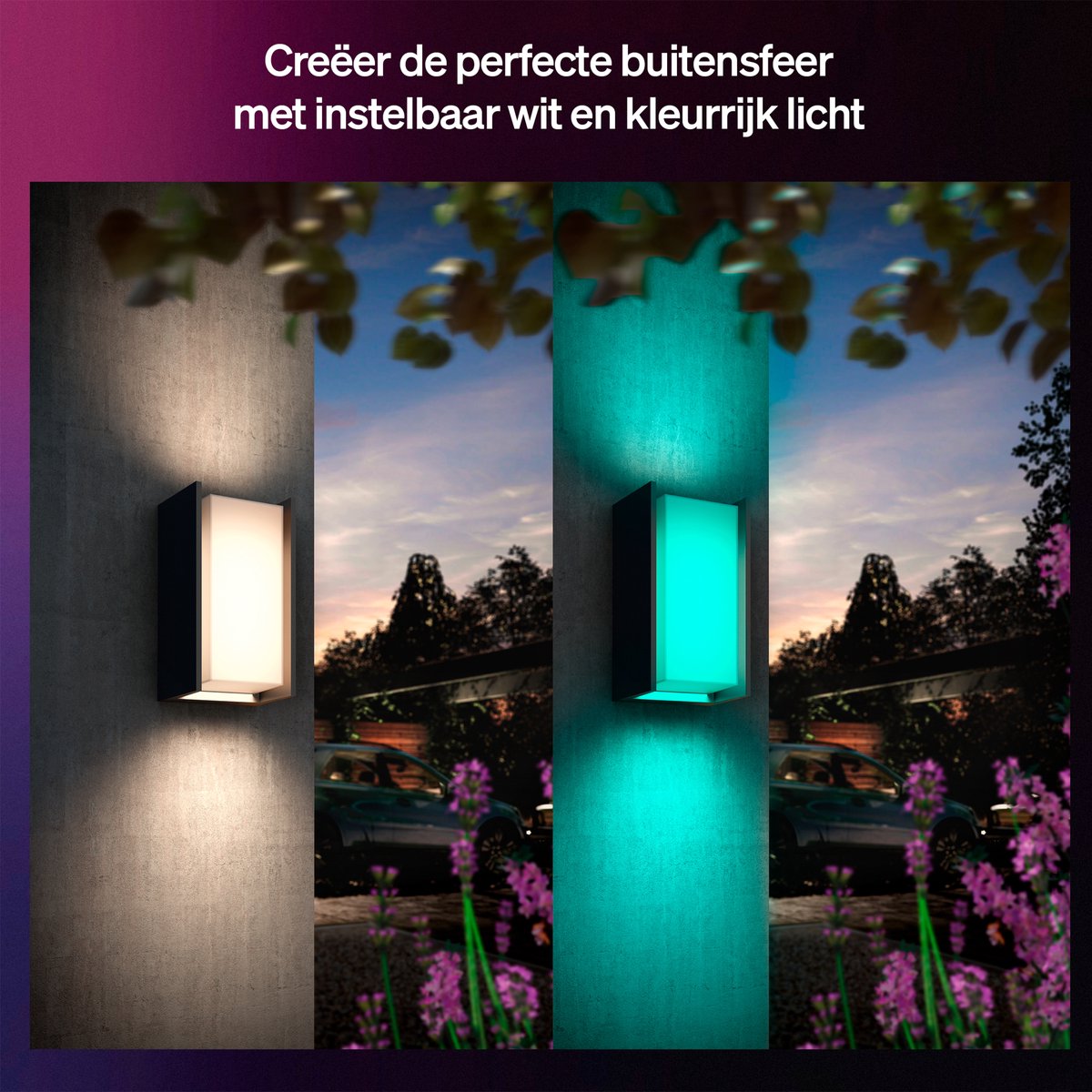Philips Hue Turaco wandlamp - Tuinverlichting - Antraciet grijs - IP44 - Wit en gekleurd licht - 1100 lumen - Bediening via onze app of met je stem - Compatibel met Matter — afbeelding 6
