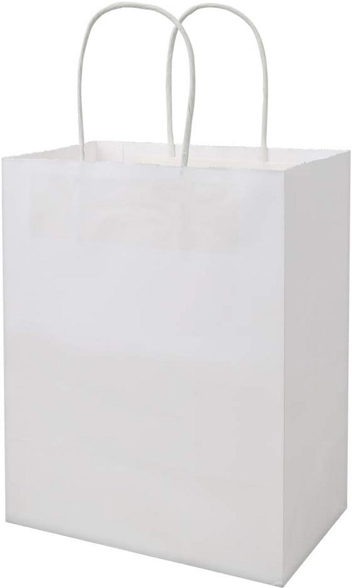 100x Stevige Witte Kraft Papieren Zakken met Handvatten Middelgroot