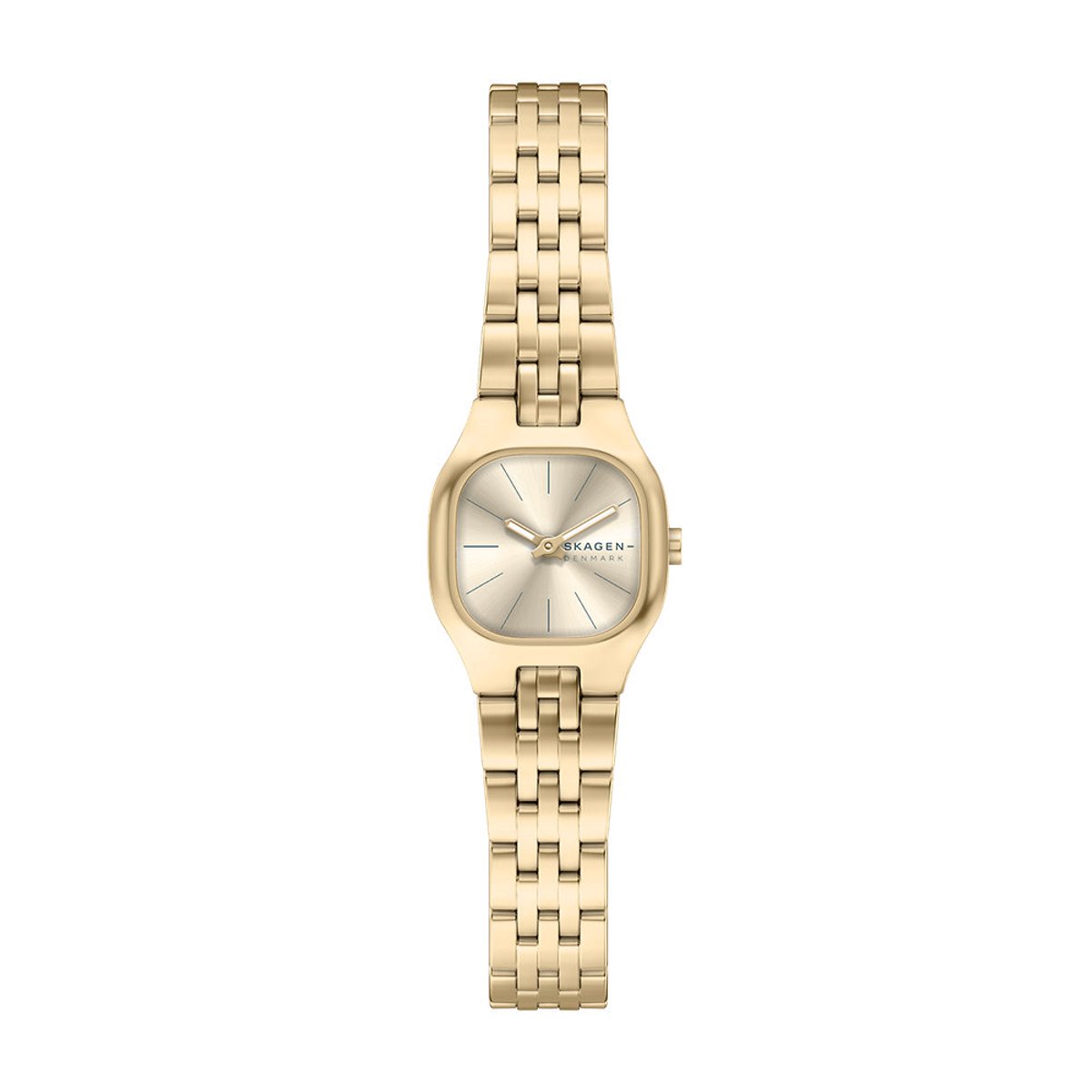 Skagen SKW3177 Vrouwen Horloge 22 mm - Goudkleurig