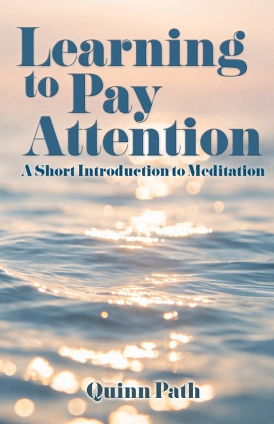 Learning to Pay Attention - cover