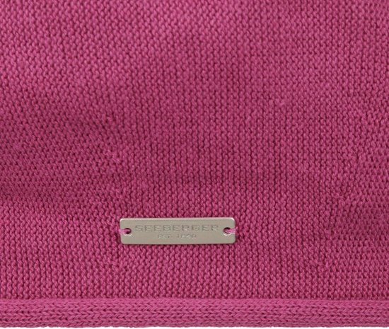 APS 38202 roestvrij stalen container met kunststof afdekking, 42 x 31 x 8 cm