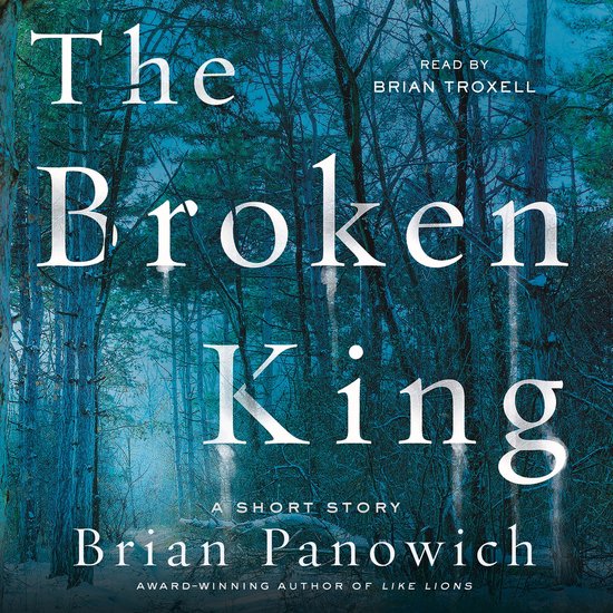 The Broken King - cover