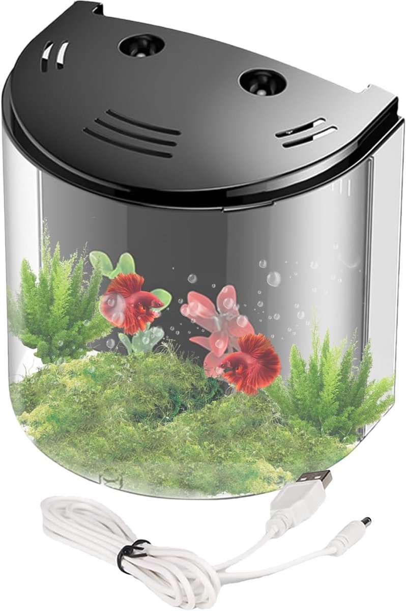 Kleine Vistank - Desktop Aquarium - Thuis Kantoor Decor - Ingebouwde Waterpomp - 20 x 14 x 21 cm - Zwart