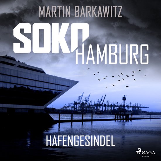 SoKo Hamburg: Hafengesindel (Ein Fall für Heike Stein, Band ... - cover