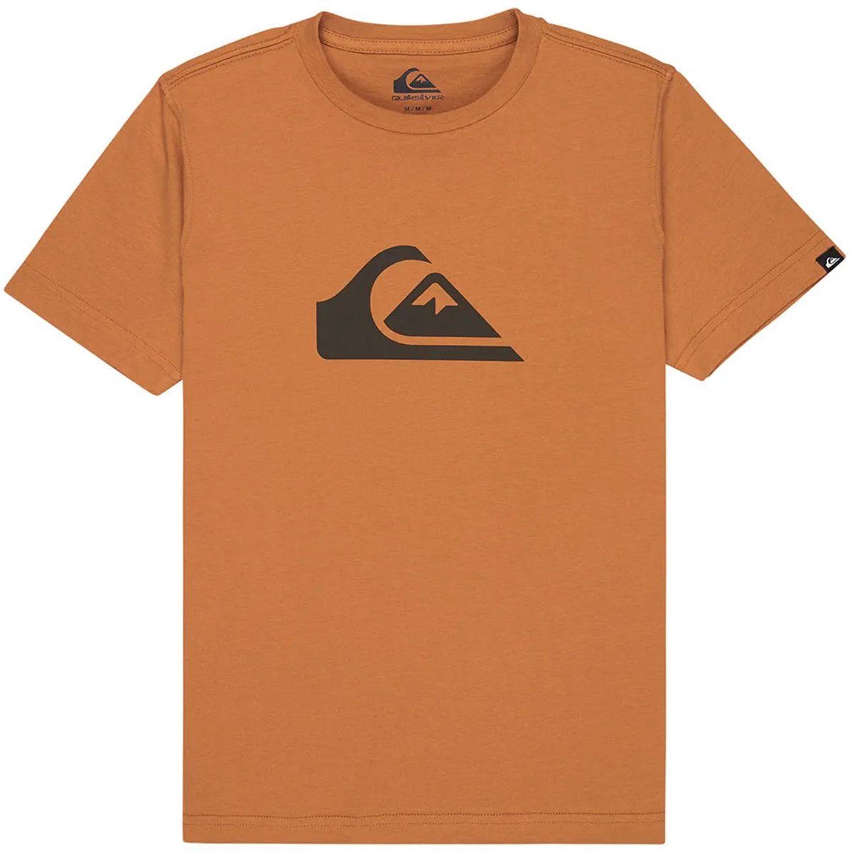 Quiksilver Ev Comp Logo T-shirt Met Korte Mouwen 14 Years Jongen Bruin