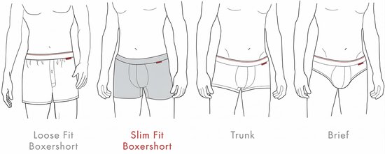 Illustraties van vier herenonderbroeken: boxhort, slim fit boxhort, trunk en brief.