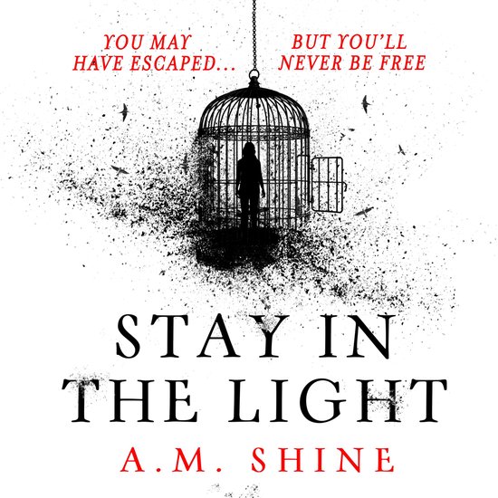 Stay in the Light - cover