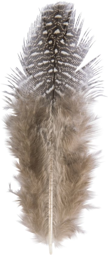 40x Décoration en plumes de duvet