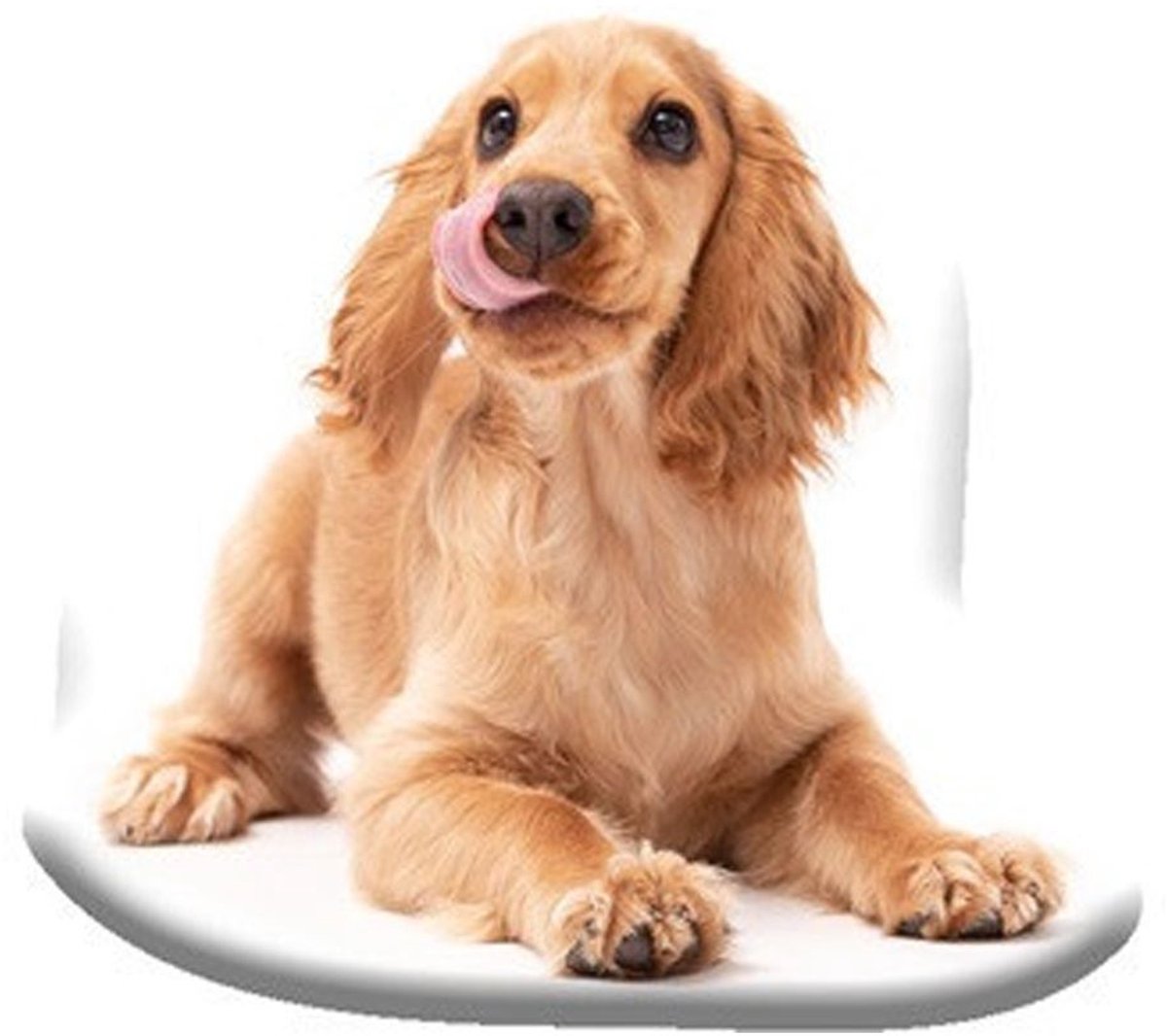 Dog Spaniel decoratief kussen 40x40 cm Velours