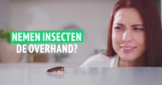 Super Ninja Mieren- en Insectenspray 500ml - Spinnen Spray, Kakkerlakken, Zilvervisjes en Spinnen - Krachtige Plantenformule met Pepermunt - Veilig voor Gezin en Huisdieren