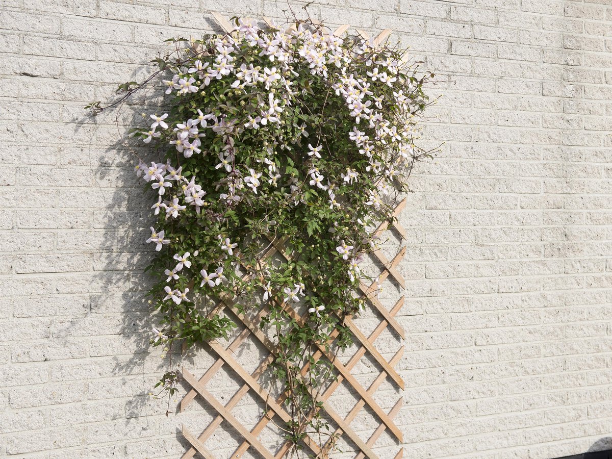 Nature - Houten klimrek (bruin) - 1 x 3m - FSC — afbeelding 5