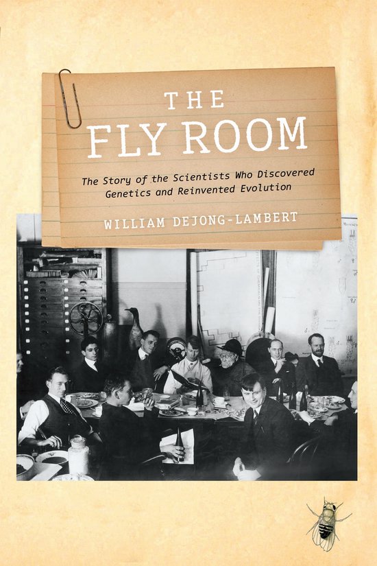 The Fly Room - cover