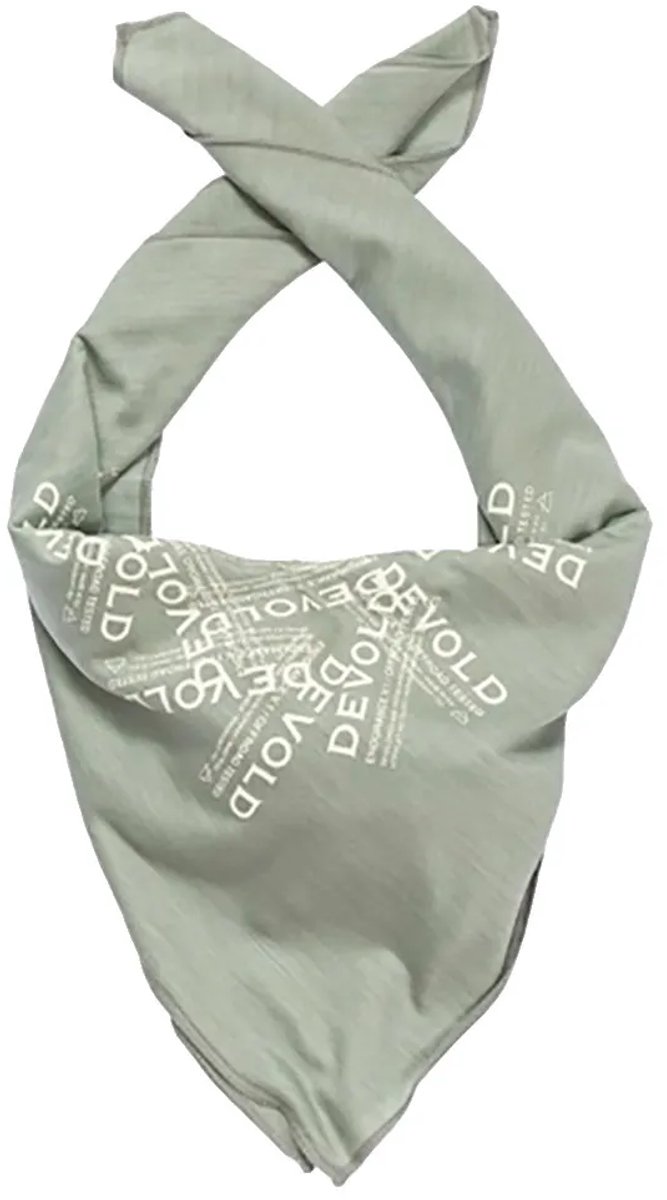 Devold Of Norway Endurance Merino Hoofdband Groen