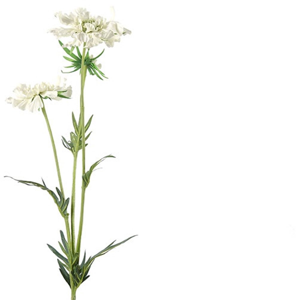 Countryfield Kunstbloem Scabiosa José crème