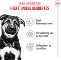 Een Duitse herder pup met een sterke vacht, die staat naast drie iconen: immuunsysteem, hersenontwikkeling en darmflora.