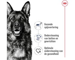 Royal Canin - Hondenvoer Droog Maxi Adult - 1 kg