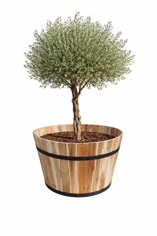 colourliving Houten plantenpot met handgrepen, robuuste bloempotten, rond, FSC-acaciahout, bloembakken van hout (28/23 cm colourliving Houten plantenpot met handgrepen, robuuste bloempotten, rond, FSC-acaciahout, bloembakken van hout (28/23 cm