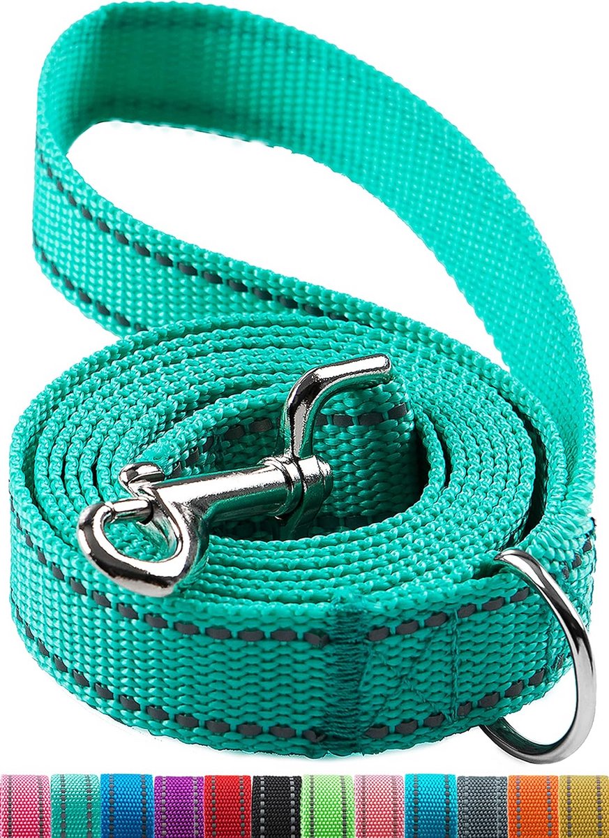 Sterke Reflecterende Hondenriem Nylon - Veilig en Comfortabel Lopen met Elke Hond