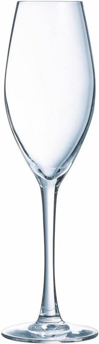 Elegante Champagnefluiten Set van 2, 240 ml Inhoud