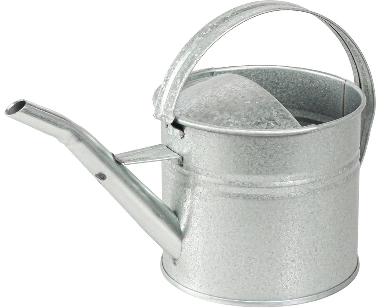 Vintage decoratieve gieter, metaal, zilver, 1,25 liter plantenbak